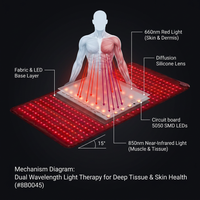 Most Popular Red Light Therapy Yoga Mat Pilates Mat with 660Nm 850Nm Infrared Light Therapy for Home and Gym Use Pain Relief — How It Works